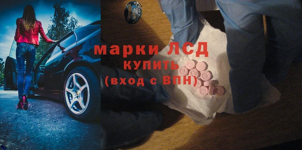 ешки Аркадак