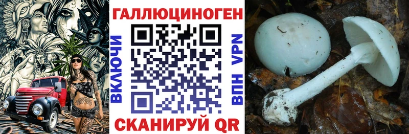 Псилоцибиновые грибы Magic Shrooms  Купить  Сычёвка 