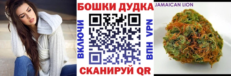 Купить закладки  Сычёвка  Бошки Шишки VHQ 